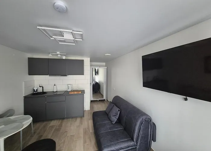 Meguvos 9 - Modernus Studijo Apartamentai * パランガ